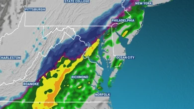 Weather whiplash in DC: Record highs to wet snowflakes in 24 hours