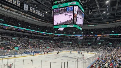 Weird animosity and nothing on the scoreboard: Blues beat Capitals 3-0