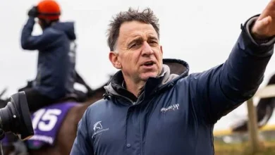 “We’ve a nice team of horses going over there this year” – de Bromhead