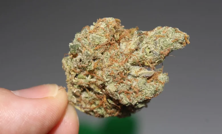 What Do New Ohio Restrictions On Marijuana And Hemp Mean For Consumers And Businesses?