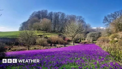 What and when is the 2026 spring equinox?