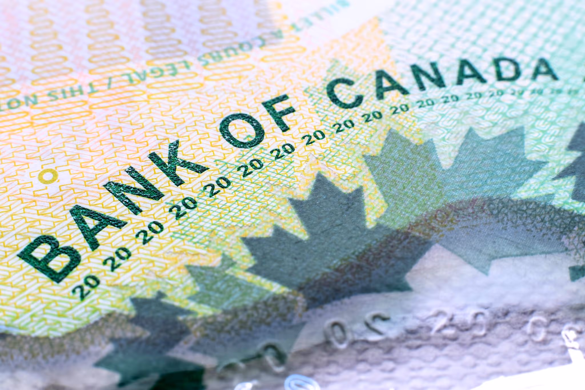 What to expect from the March Bank of Canada interest rate update