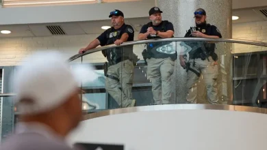 What will ICE agents do at airports to help TSA ease travel woes?