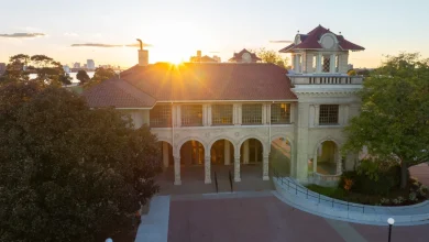 What's planned for 313 Day in Detroit?