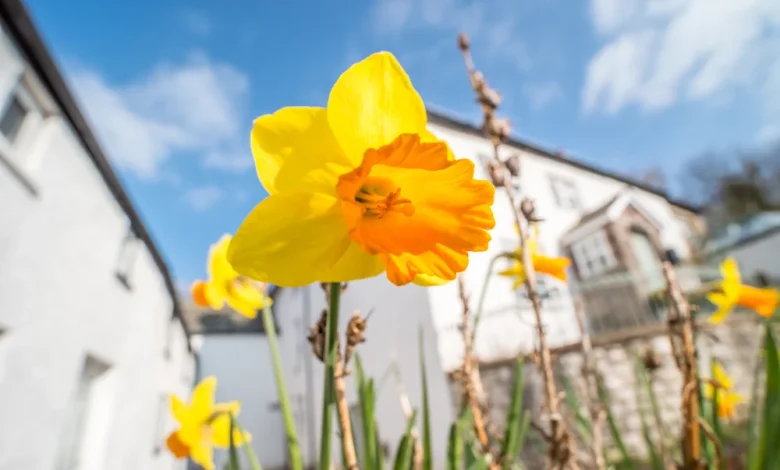 When is Easter 2026? UK Bank Holiday Dates in April