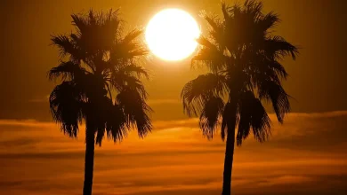 When will it cool down in metro Phoenix? What weather experts say