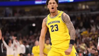 Where Is Yaxel Lendeborg From? Michigan Star’s Roots, Stats Before Tennessee