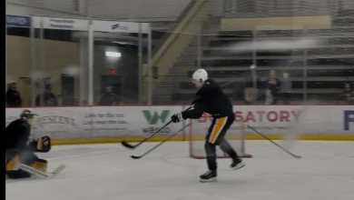 Which Injured Penguins Might Face Isles?