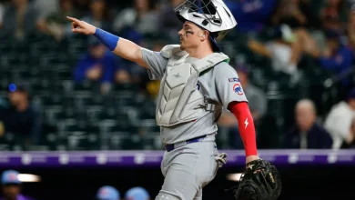 White Sox Sign Reese McGuire