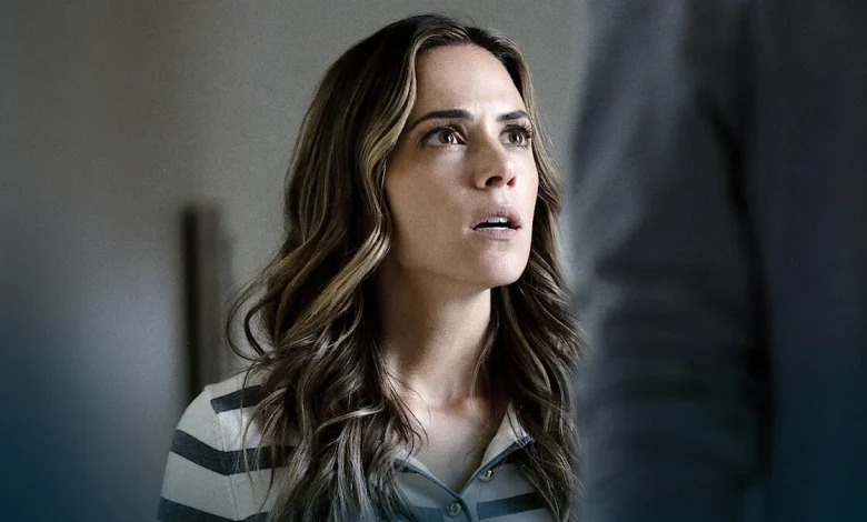 Who is Morgan Metzer? The True Story Behind Gaslit by My Husband