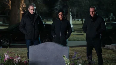 Why New One Chicago Episodes Aren't Airing This Wednesday: What's On Instead