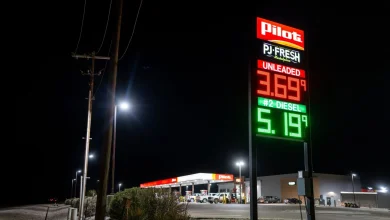 Why it’s so hard for world leaders to bring down oil and gasoline prices : NPR