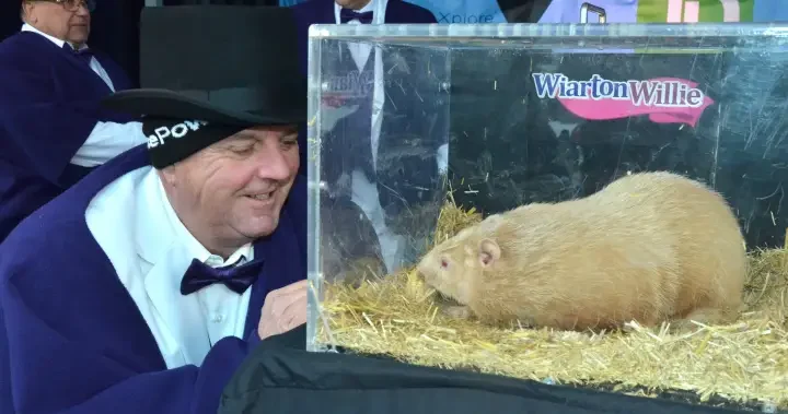 Wiarton Willie, Ontario’s famous groundhog, has died: town