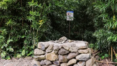 Wife of Maui doctor describes terrifying birthday hike at attempted murder trial