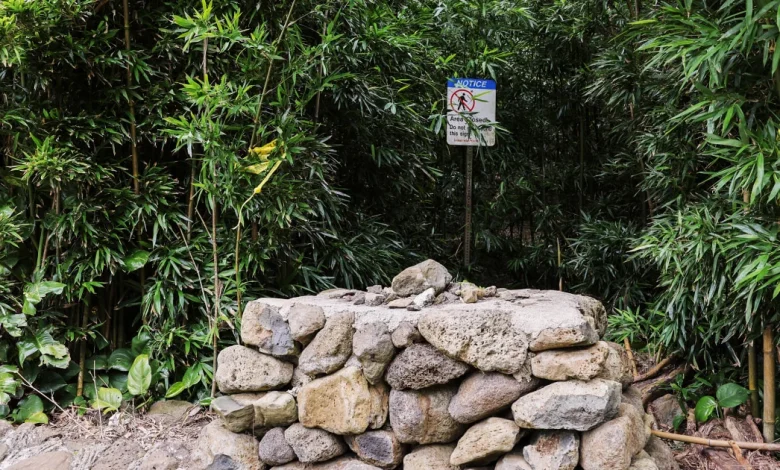 Wife of Maui doctor describes terrifying birthday hike at attempted murder trial