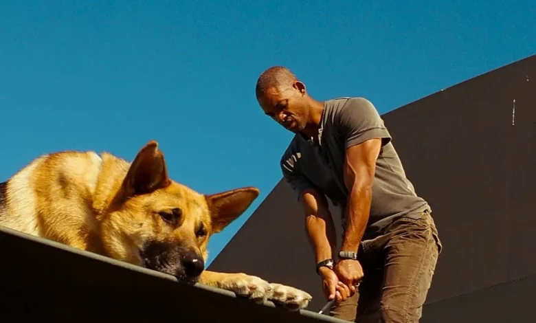 Will Smith reveals why "I am Legend" is his most criticized film