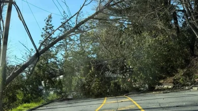 Wind storm knocks power out for thousands in Nanaimo & Oceanside