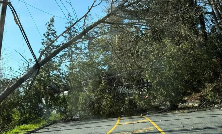 Wind storm knocks power out for thousands in Nanaimo & Oceanside