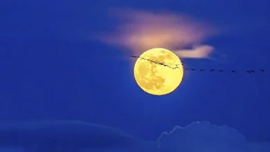 Windows 12 could be the tipping point that finally pushes you to Linux - here's why