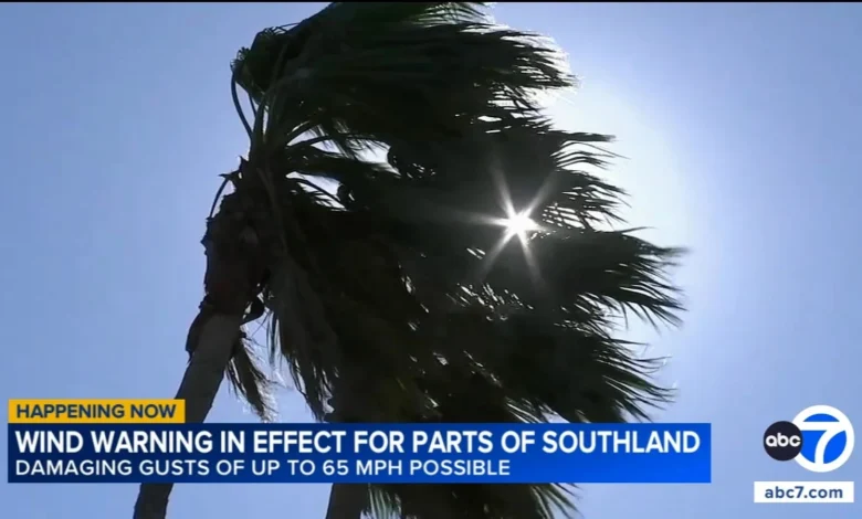 Winds expected to batter Southern California through weekend