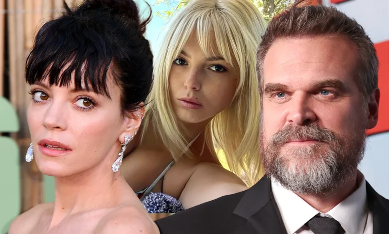 Woman Linked to David Harbour Asked to Leave Lily Allen Producer's Party