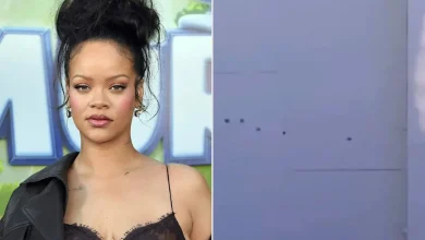 Woman Who Allegedly Shot at Rihanna’s Home with AR-15-Style Rifle ID'd by Police, Booked on Suspicion of Attempted Murder