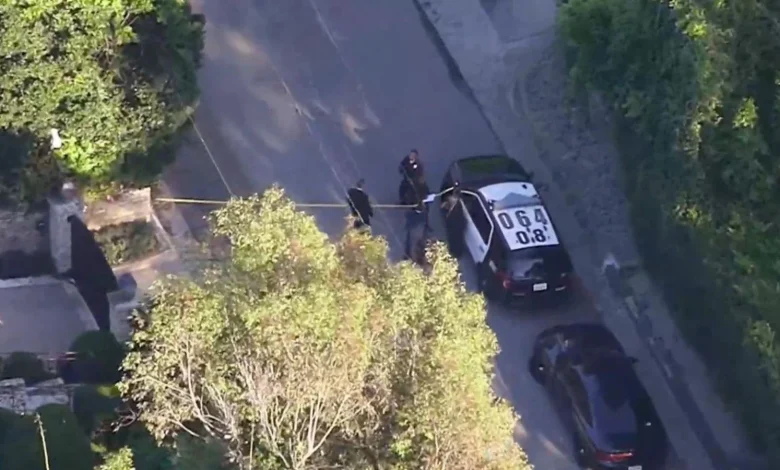 Woman armed with AR-15 rifle fires gunshots into Rihanna's California home