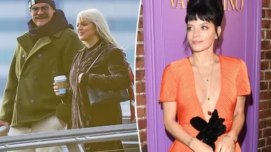 Woman linked to David Harbour kicked out of Lily Allen’s producer’s party: report