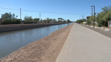 Woman’s Body Found in Phoenix Not Yet Connected