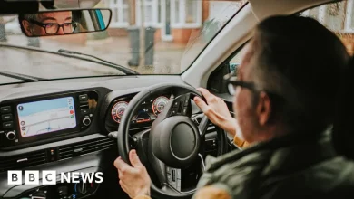 Work from home and drive more slowly to save energy, global body urges