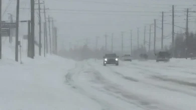 Yellow Storm Warning Issued Ahead of Weekend Snowfall
