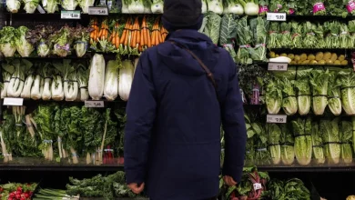 You might get some budget help with the new Canada Groceries and Essentials Benefit. But experts worry it's not enough