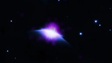 Young ‘Sun’ Caught Blowing Bubbles by NASA’s Chandra