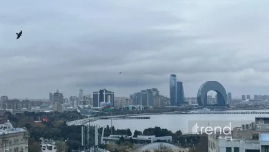 Какой будет погода завтра? - ПРОГНОЗ