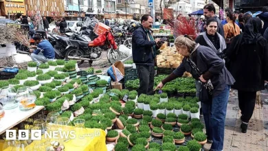 «دل هیچ‌کس آرام نیست، چهره‌ها نشانی از بهار ندارد»؛ نوروز در شرایط جنگی