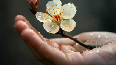 لحظه تحویل سال 1405