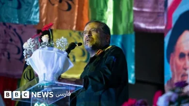 کشته شدن فرمانده بسیج؛ غلامرضا سلیمانی کیست؟