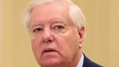 ‘Acting as if our troops are expendable cattle’: MAGA blasts Lindsey Graham over Iran War rhetoric