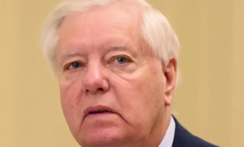 ‘Acting as if our troops are expendable cattle’: MAGA blasts Lindsey Graham over Iran War rhetoric