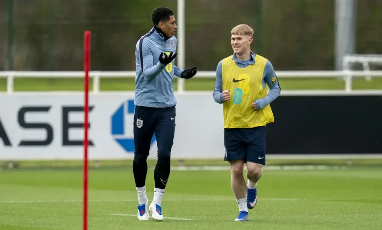 ‘He grew a lot since I last saw him on the pitch…’ Thomas Tuchel talks up Newcastle United star