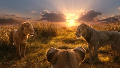 ‘Lion King’ composer sues comedian for botched translation