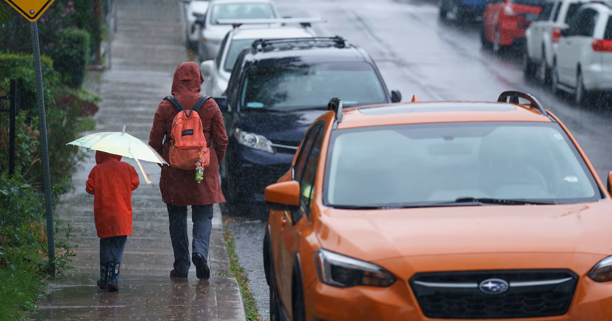 ‘Significant rainfall’ in Toronto’s weather forecast with up to 40 mm expected