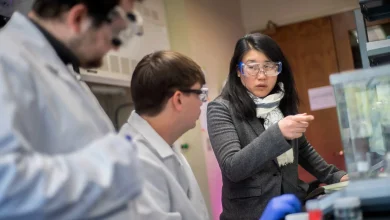 ‘Smart fabrics’ are an ideal fit for Christina Tang