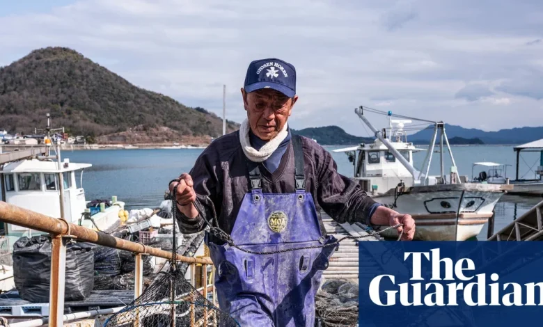 ‘Something out of the ordinary’: why are Japan’s oysters dying en masse?