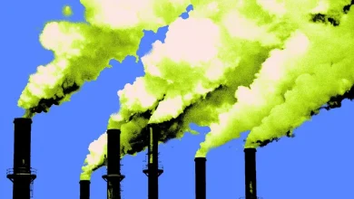 ‘Work from home,’ encourages the world’s energy watchdog