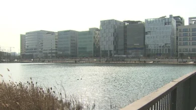 [내일날씨] 다시 꽃샘추위…수도권 미세먼지 '나쁨'