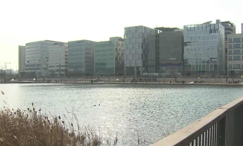 [내일날씨] 다시 꽃샘추위…수도권 미세먼지 '나쁨'