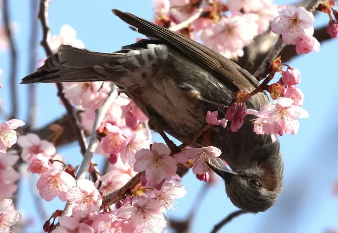 오늘 아침 영하권 ‘꽃샘추위’… 인천·경기 서해안에 약한 비
