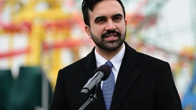 100 Days of Mamdani - by Olivia Reingold