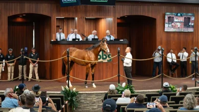$10.5-Million Flightline Colt Leads OBS April Sale